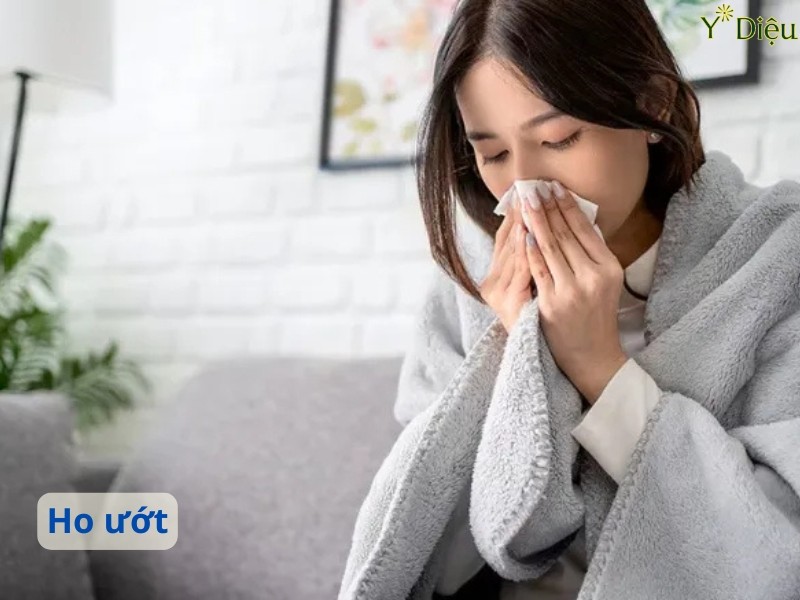 Ho Ướt: Nguyên Nhân, Triệu Chứng Và Cách Điều Trị Hiệu Quả